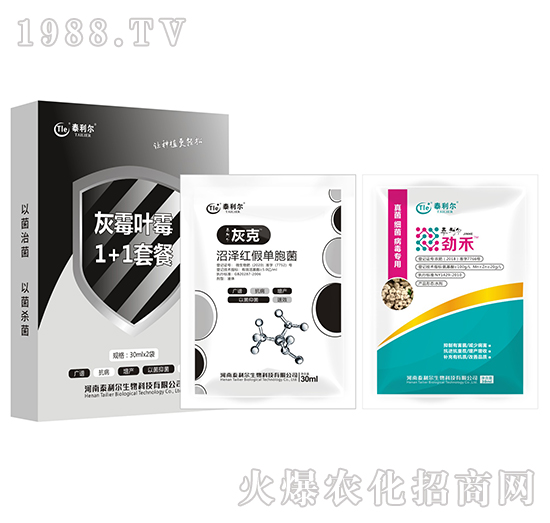 ��ù�~ù1+1�ײ�-̩����