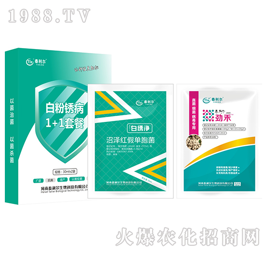 �׷��P��1+1�ײ�-̩����