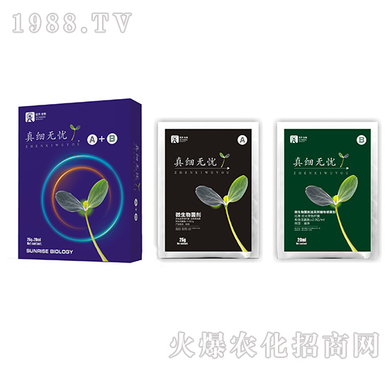 ΢�������-�漚(x��)�o(w��)�n(y��u)A+B-��������