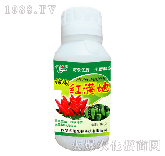 辣椒紅滿地-杰翔生物