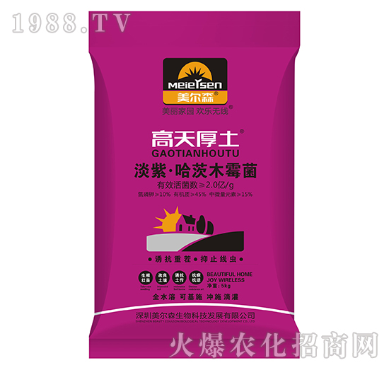 ���ϡ�����ľù��-�������-����ɭ