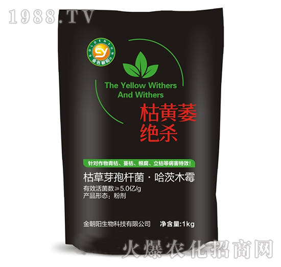 ���Sή�^��-���(y��ng)