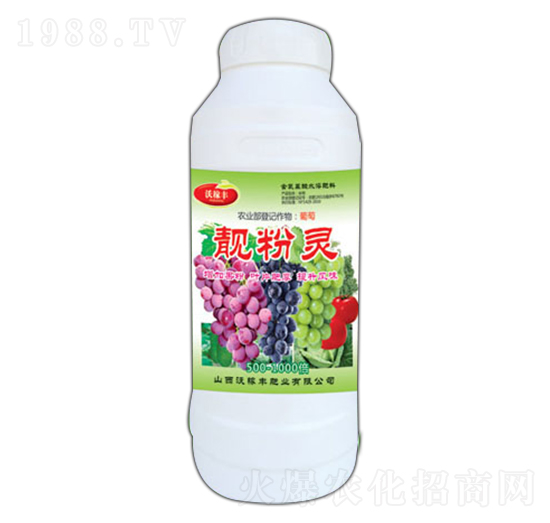 �n���`��ƿ��-�ּ��S�ʘI(y��)