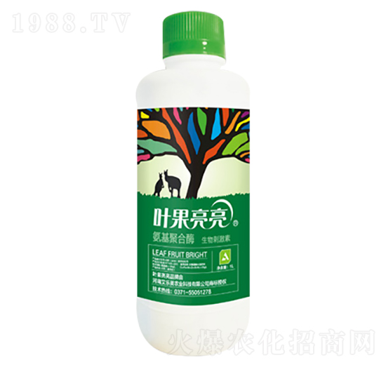 氨基聚合酶-葉果亮亮-艾樂美