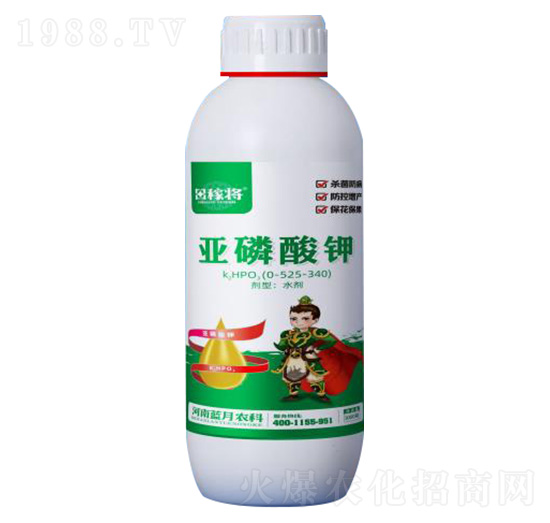 �������0-525-340-��ڌ�-�{���r��