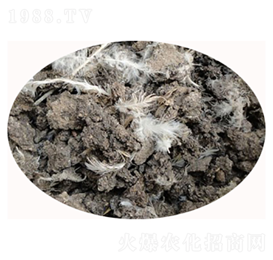 石家莊雞糞有機肥-必豐生物