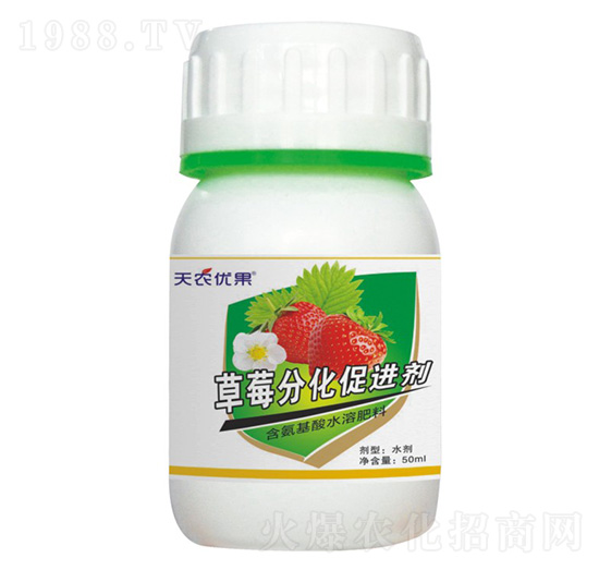 草莓分化促進劑-天農(nóng)優(yōu)果-天農(nóng)化工