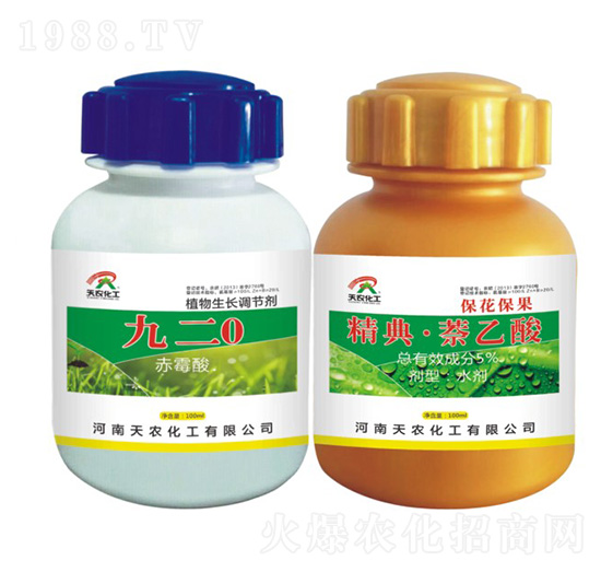 九二0（赤霉酸）+精典·萘乙酸（?；ū９?天農(nóng)化工