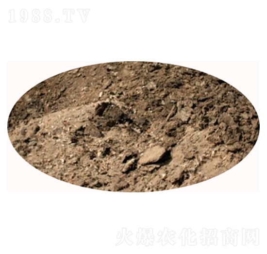 純雞糞廠(chǎng)家-必豐生物