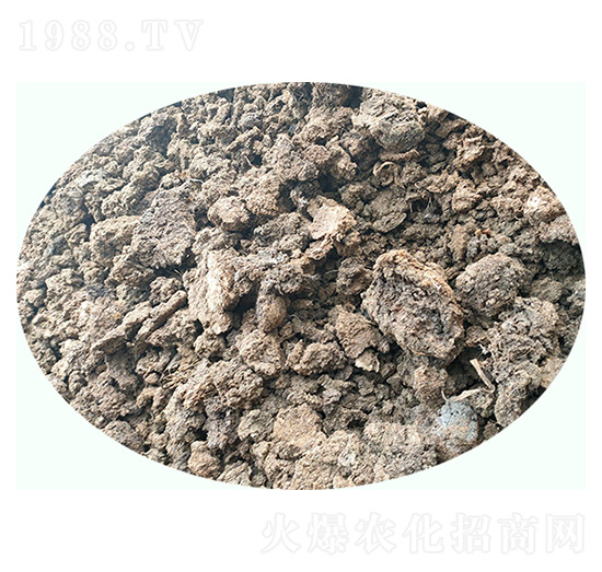 ���i�S-���|�ʘI(y��)