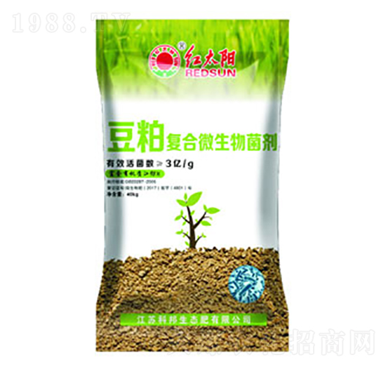 ���ɏ�(f��)��΢�������-�t̫�(y��ng)-�ư�