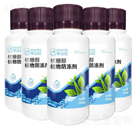 ���Ǵ�ֲ�������-���p��