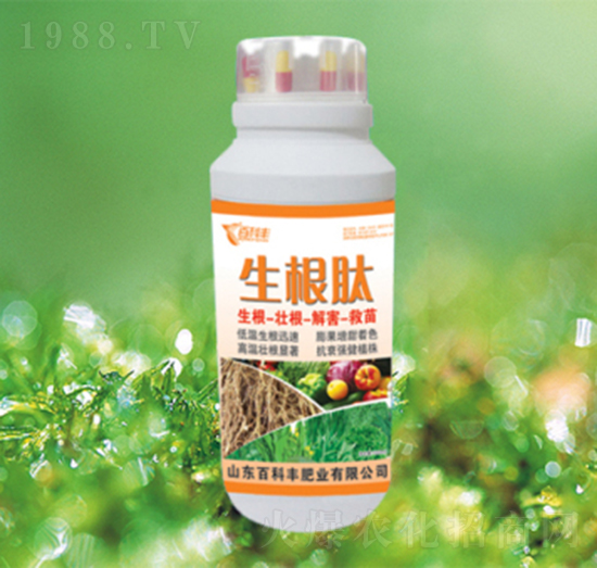 ������-�ٿ��S