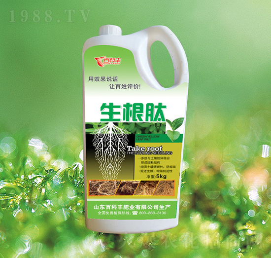 ������-�ٿ��S