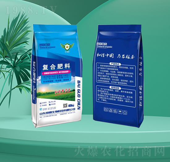 �ͺϷ���-�㶦����