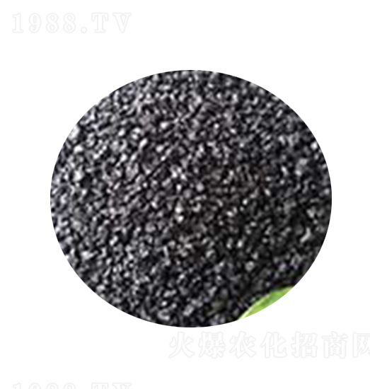 ���w��ֲ���+�����-�AԴ��ֳ��