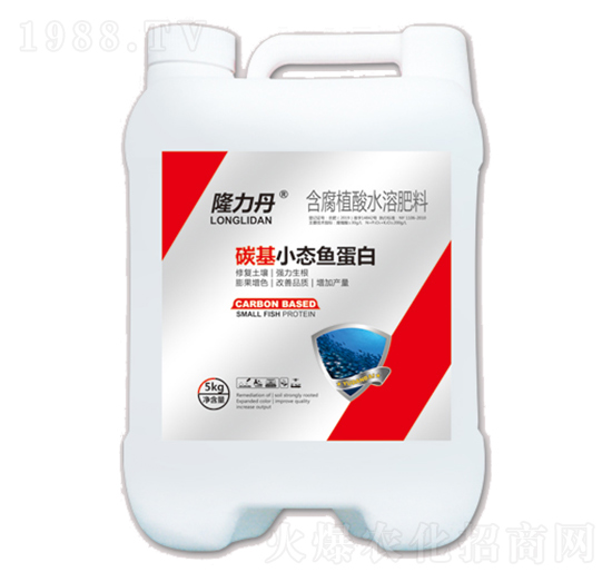 ̼��С�B(t��i)�~����-¡����-���r