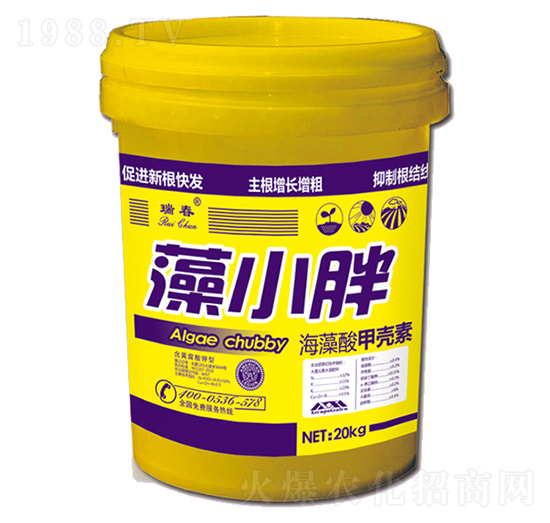 ������ך���-��С��-���r(n��ng)