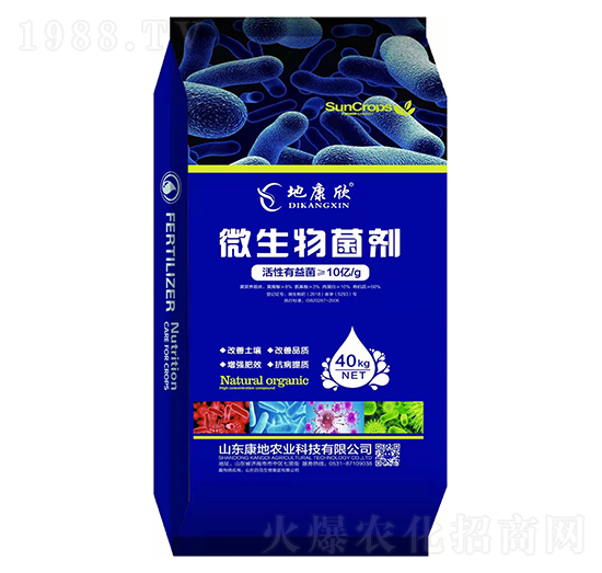 10�|΢�������-�����r(n��ng)�I(y��)