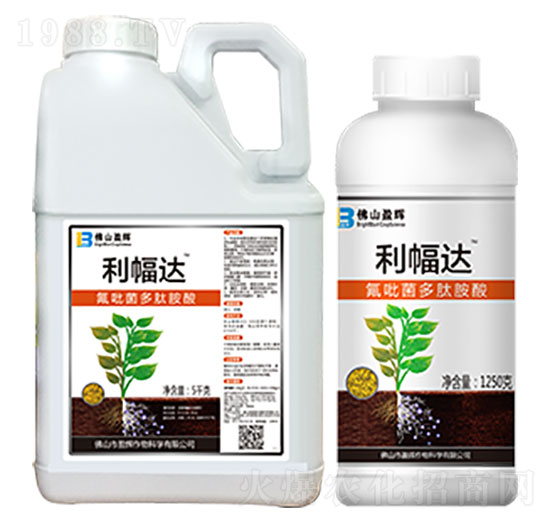 利幅達(dá)-盈輝