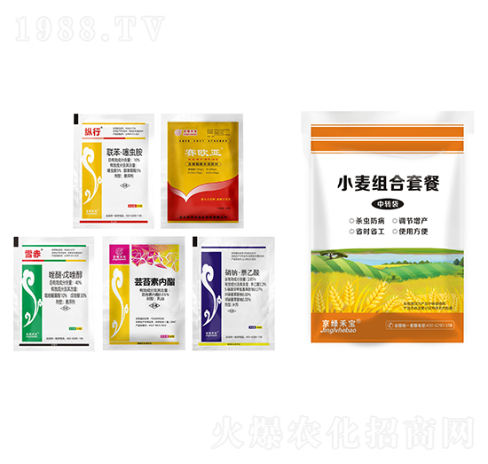 С���M���ײ�-����S-�A�S����