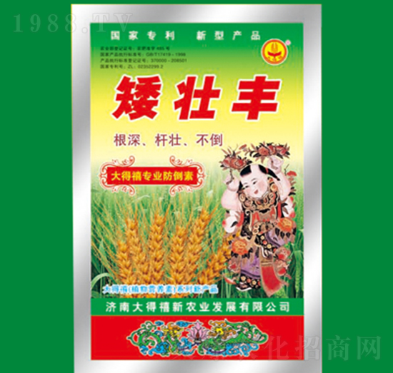 �����S-�����