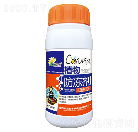 ֲ�������-���A����