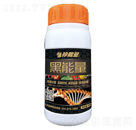 ������-���A����