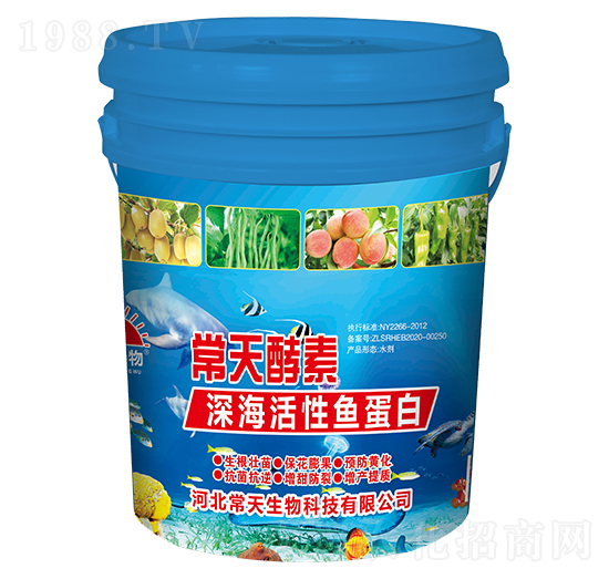 ��������~����-�������-��������