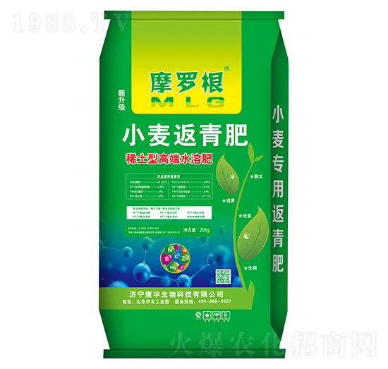 小麥返青肥-摩羅根-康華生物