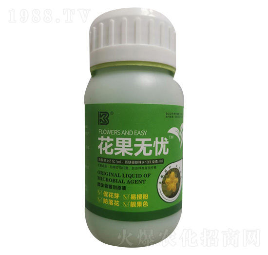 �����o�n-�P����