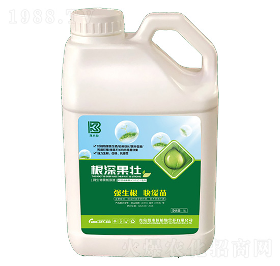 根深果壯-凱米拉