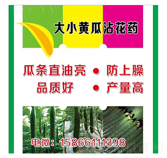 ����С�S��պ��ˎ-�����r(n��ng)�I(y��)