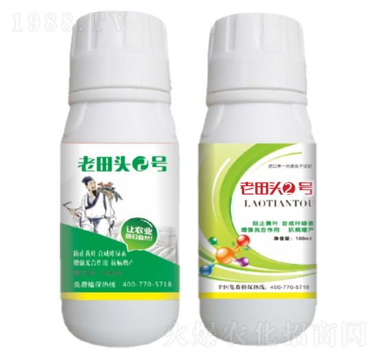 真菌、細(xì)菌性病害、病毒?。ㄖ胁菟幣浞剑?老田頭2號(hào)