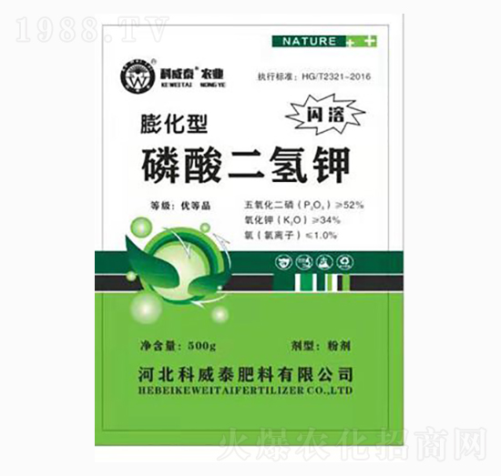 ������������-����̩