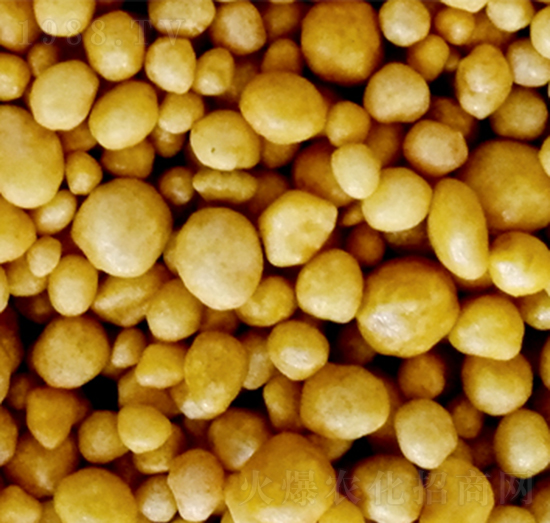 �۰�����Ĥ��(f��)�Ϸ�-�����S