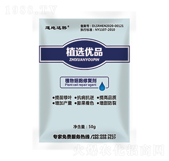 ֲ�：���ޏ̈́�-���n