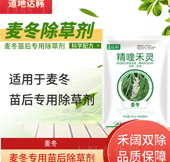 麥冬除草劑-麥冬苗后-麥冬專(zhuān)用-大韓