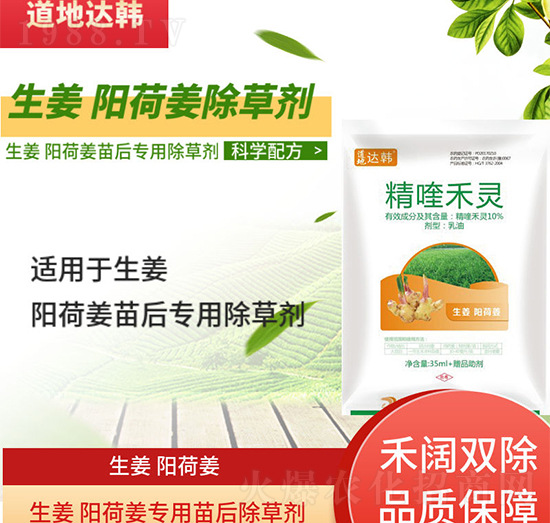 �����(y��ng)�ɽ����݄�-�����(y��ng)�ɽ����-�����(y��ng)�ɽ�����-���n