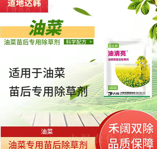 �Ͳ˳��݄�-�Ͳ����-�Ͳˌ���-���n