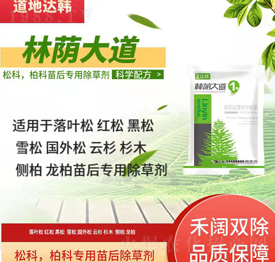 �ɿưؿƳ��݄�-�ɿưؿ����-�ɿưؿƌ���-���a���1̖-���n