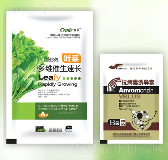 ��S�������L(zh��ng)+�������T��(d��o)��-�|����(r��n)��