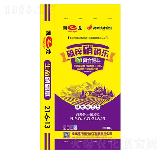 ������ͺϷ���21-6-13-���\������-�P������