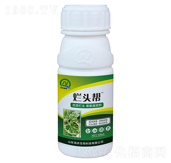 瓜類(lèi)爛頭黑星速溶劑-爛頭幫-強(qiáng)農(nóng)生物