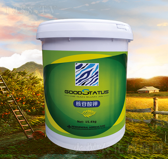 �������-�à�B(t��i)-�r��