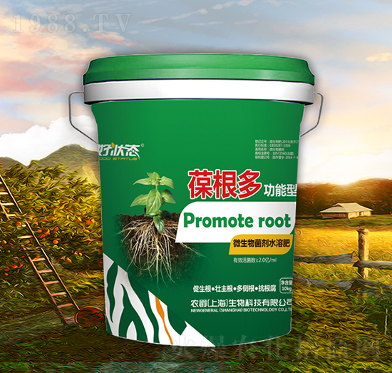 �����-�à�B(t��i)-�r(n��ng)��