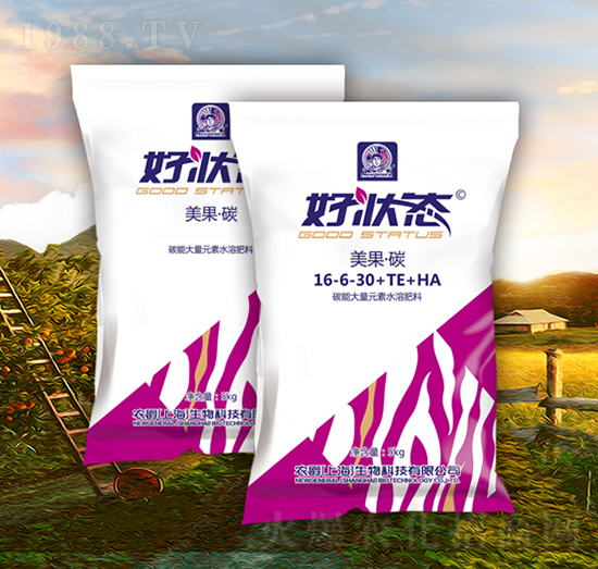 ������̼16-6-30+TE+HA-�à�B(t��i)-�r��