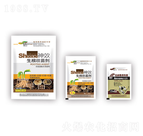 �������焩+�������T����-�|������