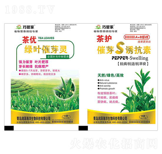 �胞(y��u)�G�~��ѿ�`+���o��ѿS�T����-�ɹܼ�-����