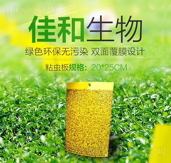 粘蟲(chóng)板 佳和